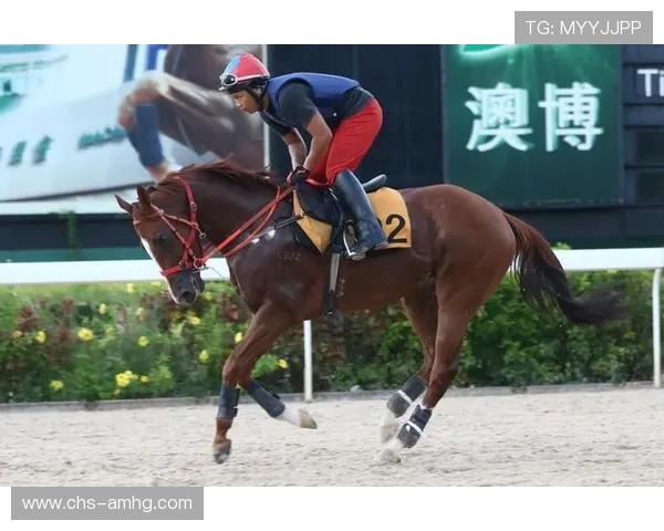 澳门赛马规则详细解读及执行细则入门指南